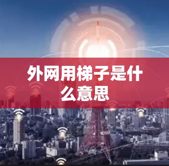 外网用梯子是什么意思