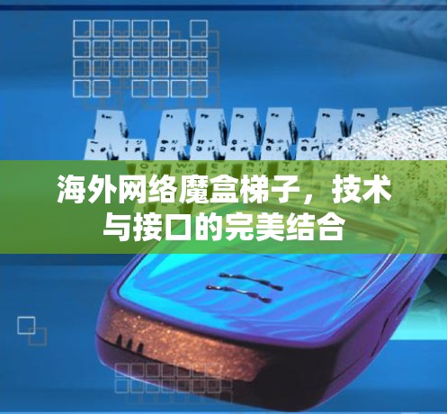 海外网络魔盒梯子，技术与接口的完美结合