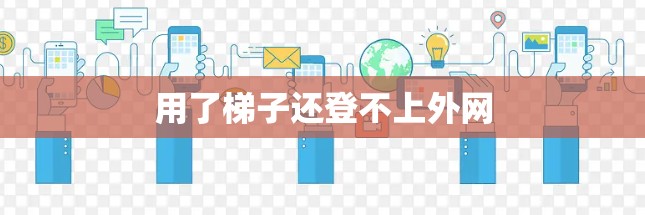 用了梯子还登不上外网