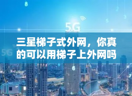三星梯子式外网，你真的可以用梯子上外网吗？