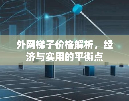 外网梯子价格解析，经济与实用的平衡点