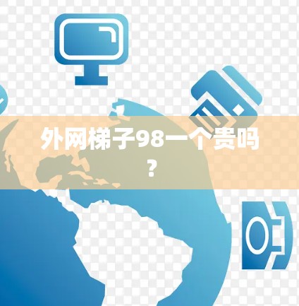 外网梯子98一个贵吗？