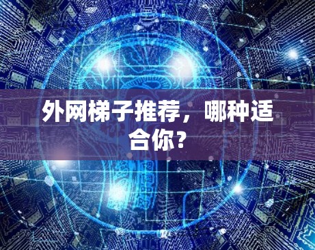 外网梯子推荐，哪种适合你？