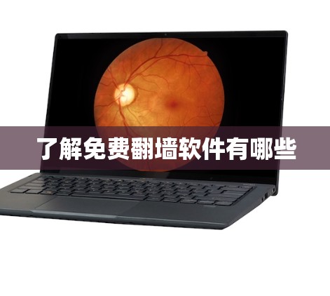 了解免费翻墙软件有哪些