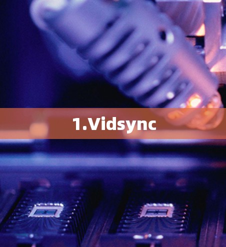 1.Vidsync