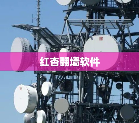 红杏翻墙软件