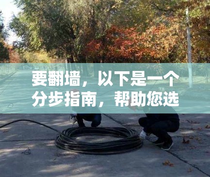 要翻墙，以下是一个分步指南，帮助您选择和使用合适的工具