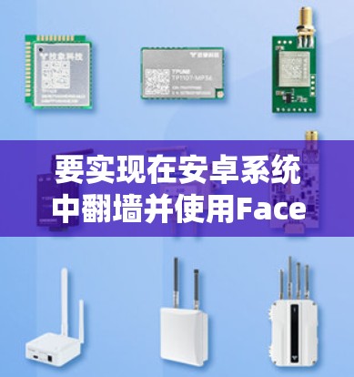 要实现在安卓系统中翻墙并使用Facebook功能，您可以按照以下步骤操作