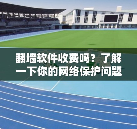 翻墙软件收费吗？了解一下你的网络保护问题