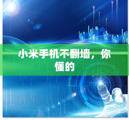 小米手机不翻墙，你懂的