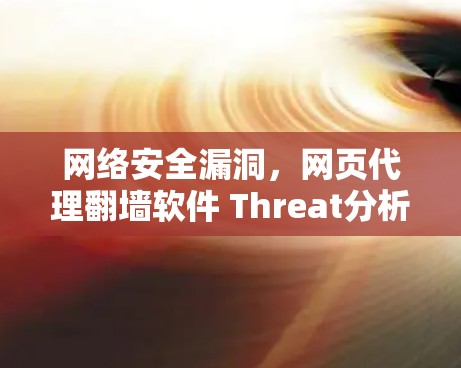 网络安全漏洞，网页代理翻墙软件 Threat分析