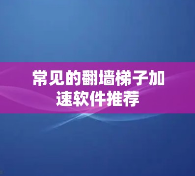 常见的翻墙梯子加速软件推荐