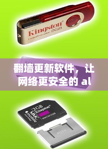 翻墙更新软件，让网络更安全的 ally