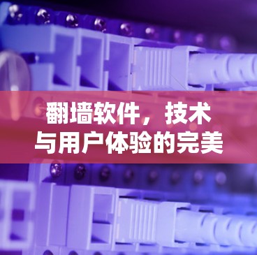翻墙软件，技术与用户体验的完美融合