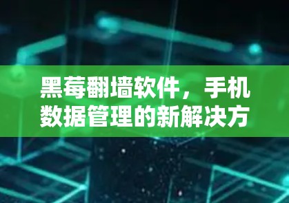 黑莓翻墙软件，手机数据管理的新解决方案