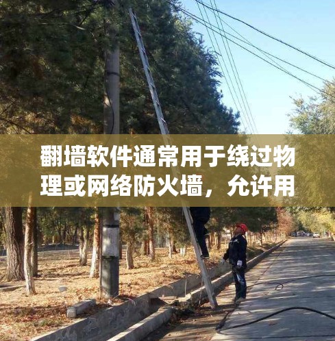 翻墙软件通常用于绕过物理或网络防火墙，允许用户访问外部网络。以下是一些常见的翻墙软件及其功能