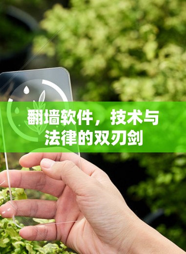 翻墙软件，技术与法律的双刃剑
