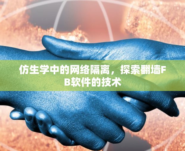仿生学中的网络隔离，探索翻墙FB软件的技术