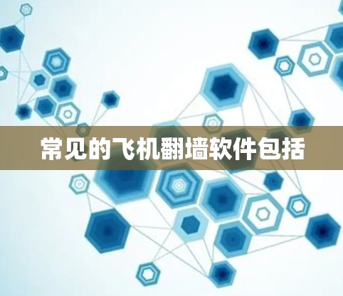 常见的飞机翻墙软件包括