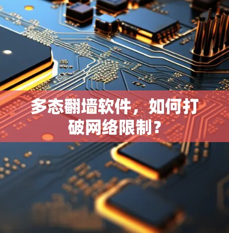 多态翻墙软件，如何打破网络限制？