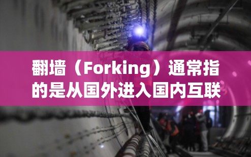 翻墙（Forking）通常指的是从国外进入国内互联网或从国内进入国外互联网的软件。在中国，如果用户使用了翻墙软件，可能会面临网络审查和法律风险，尤其是如果需要访问国外网站或应用程序