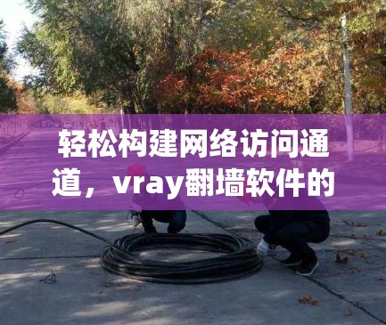 轻松构建网络访问通道，vray翻墙软件的全面解决方案