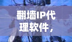 翻墙IP代理软件，虚拟现实的另一面