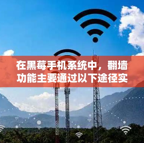 在黑莓手机系统中，翻墙功能主要通过以下途径实现