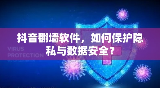 抖音翻墙软件，如何保护隐私与数据安全？