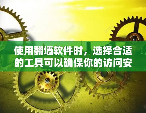 使用翻墙软件时，选择合适的工具可以确保你的访问安全和效率。以下是一个分步指南，帮助你决定适合的翻墙软件