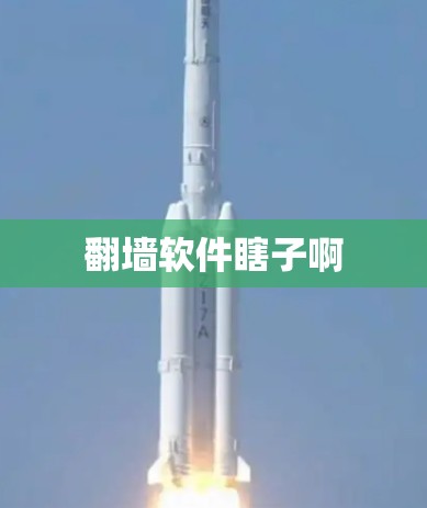 翻墙软件瞎子啊