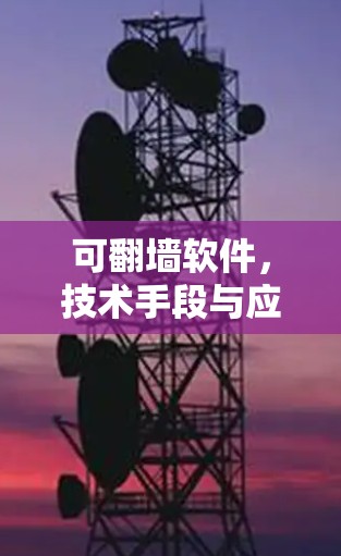 可翻墙软件，技术手段与应用