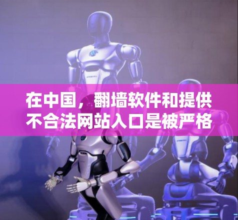 在中国，翻墙软件和提供不合法网站入口是被严格禁止的，目的是为了保护公民的网络安全和隐私。以下是一些关键点