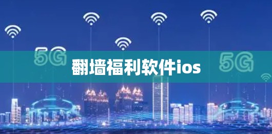 翻墙福利软件ios