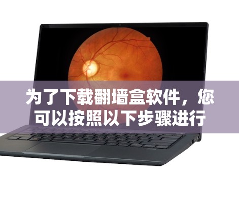 为了下载翻墙盒软件，您可以按照以下步骤进行