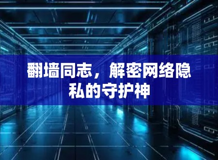 翻墙同志，解密网络隐私的守护神