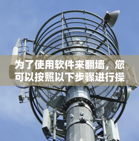 为了使用软件来翻墙，您可以按照以下步骤进行操作，具体步骤取决于您选择的工具