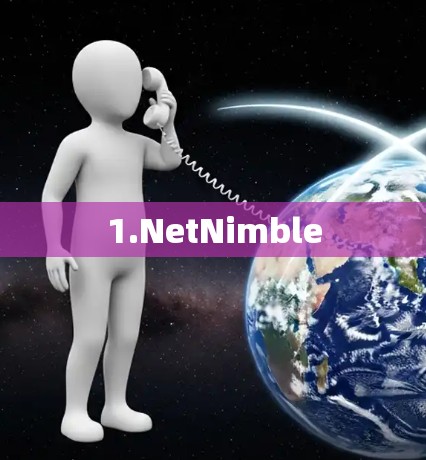 1.NetNimble