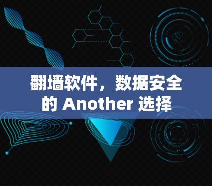 翻墙软件，数据安全的 Another 选择