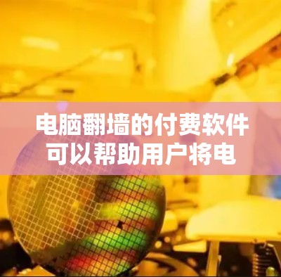 电脑翻墙的付费软件可以帮助用户将电脑从一个安全的服务器转移到另一个可能有恶意的服务器上，然后重新连接到安全服务器，防止恶意软件感染。以下是一些可能的付费软件推荐