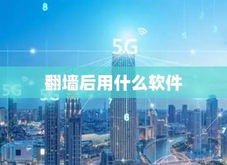 翻墙后用什么软件