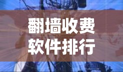 翻墙收费软件排行榜及推荐