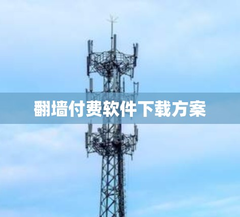翻墙付费软件下载方案