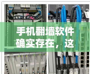 手机翻墙软件确实存在，这些软件通过将手机内部的数据转移到外部服务器，允许用户进行高级操作。以下是一些防范措施和信息