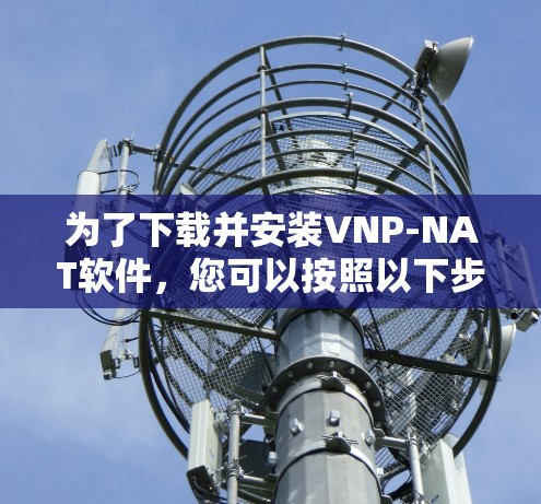 为了下载并安装VNP-NAT软件，您可以按照以下步骤进行