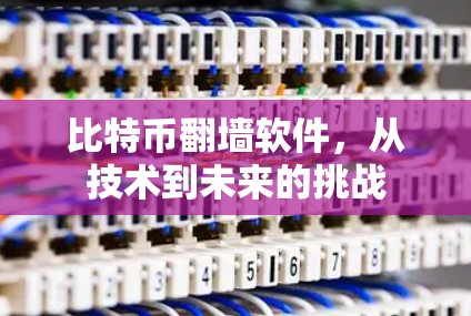 比特币翻墙软件，从技术到未来的挑战
