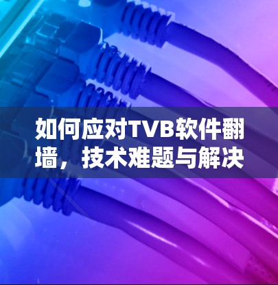 如何应对TVB软件翻墙，技术难题与解决方案
