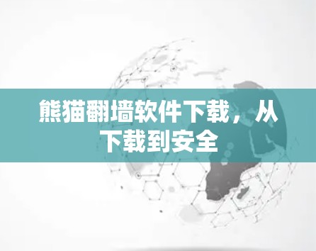 熊猫翻墙软件下载，从下载到安全