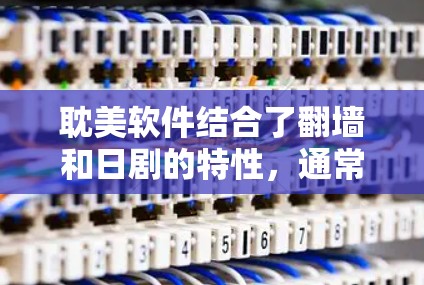 耽美软件结合了翻墙和日剧的特性，通常为用户提供观看日剧且允许访问不相关网站的功能。这种软件可能包括以下类型
