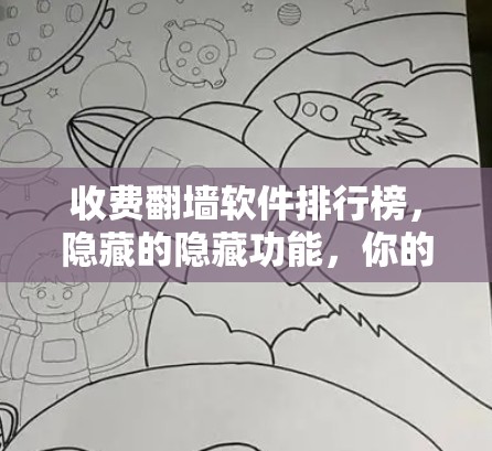 收费翻墙软件排行榜，隐藏的隐藏功能，你的选择在哪里？
